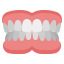 complete denture